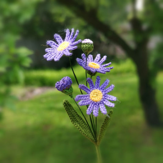 aster flower basket