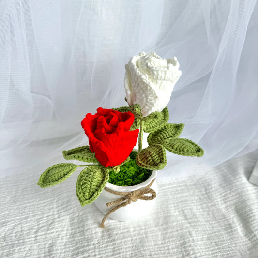 Crochet Rose